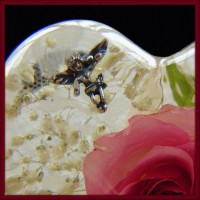Aurora Preserved Flowers LLC logo - Similar company to Steelgrass