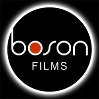 boson films logo - Similar company to Winsidr