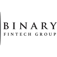 Binary Fintech Group logo - Similar company to Quantum Fintech Group