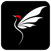 CloudFly Digital Agency logo - Similar company to Zenax Studio