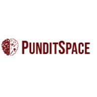 PunditSpace logo - Similar company to Punditspace
