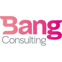 Bang Consulting Ltd logo - Similar company to Veritus Consultancy Ltd