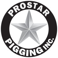 ProStar Pigging Inc logo - Similar company to Marshall Douglas