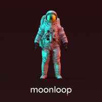 moonloop logo - Similar company to Moonloop