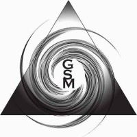 Gathering Storm Magazine logo - Similar company to Book Launchers