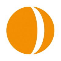Noser Engineering AG logo - Similar company to Noser Group