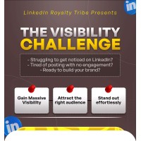 The Visibility Channel logo - Similar company to Beyond Whirlstorms
