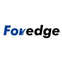 Foredge Technology Egypt logo - Similar company to Firewatch