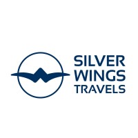 Silver Wings Travels logo - Similar company to Digital Data Solutions