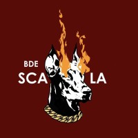 BDE Scala logo - Similar company to Sotimeco