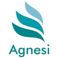 AGNESI SERVICES logo - Similar company to Stts Brazing Solutions