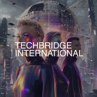 TechBridge International logo - Similar company to Markus Solutions
