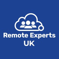 Remote Experts UK logo - Similar company to Digital Bricks