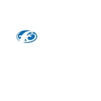 FG logo - Similar company to Stratedge Advisors