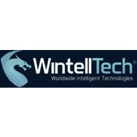 WintellTech logo - Similar company to Mondivio Solutions