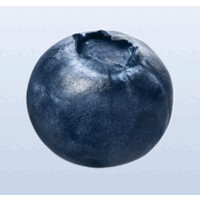 Blueberry Creative Studios logo - Similar company to Upperboon