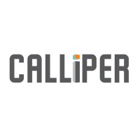 Calliper (Pty) Ltd logo - Similar company to Rede Engineering And Management Solutions