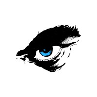 True Sight Projects logo - Similar company to Er Studios Llc