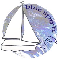 Blue Spirit logo - Similar company to Vision Illumination