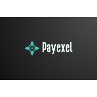 Payexel logo - Similar company to Payexel Solutions Private Limited