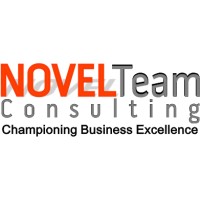 Novel Team LLP logo - Similar company to Edufix Singapore