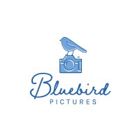 Bluebird Pictures logo - Similar company to One Motion Studio