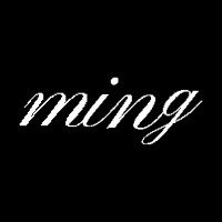 MING logo - Similar company to Virtual Property Solutions