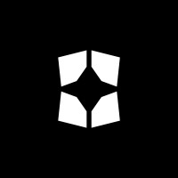 SHYNE logo - Similar company to Vidad