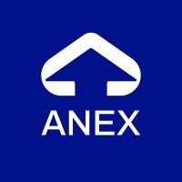 Anex Advisory logo - Similar company to Mpp