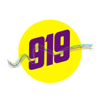 919 FM logo - Similar company to Muse Content Me