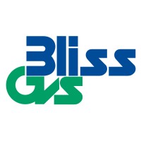 Bliss GVS Pharma Ltd. logo - Similar company to Shrisha