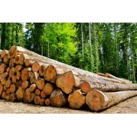 GROUPEMENT FORESTIER DE VILLARGOIX logo - Similar company to Mecaplus S.L.
