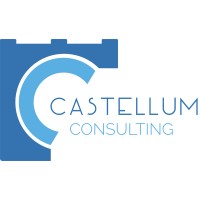 Castellum Consulting logo - Similar company to Nead Werx, Inc.