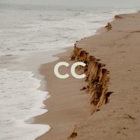 Conscious Consulting: Neurodiversity Support logo - Similar company to Brightwork Aba Therapy, Inc.