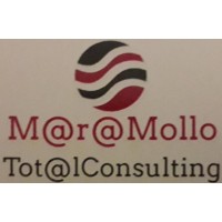 Mara Mollo Total Consulting logo - Similar company to Mg Advertising Consulting