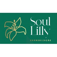 SL Harmonização logo - Similar company to Wedoctors