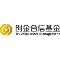 Truvalue Asset Management logo - Similar company to Skypixel Studio