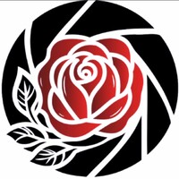 Completely Captured logo - Similar company to Wedding Mba