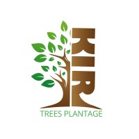KiriTrees logo - Similar company to Komf Kosova