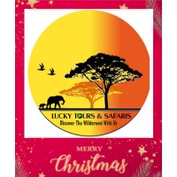 LUCKY TOURS &SAFAR TANZANIAIS logo - Similar company to Lucky Tours