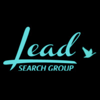 Lead Search Group Inc. logo - Similar company to Marberg Staffing
