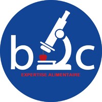 Cabinet BIC logo - Similar company to Cabinet Sand Consulting