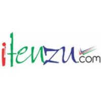 Itenzu.com logo - Similar company to Chemic Integrated Services