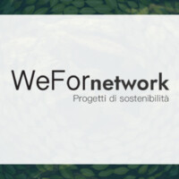 WeForNetwork logo - Similar company to Studio Partes Srl - Dottori Commercialisti & Avvocati