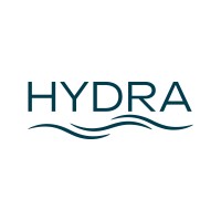 Hydra Management Consulting logo - Similar company to Irecruitment