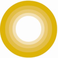 Focus Bank logo - Similar company to Digifi