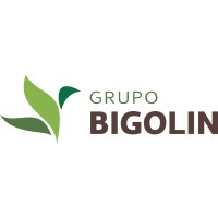 GRUPO BIGOLIN logo - Similar company to Sua Carga