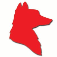 Red Fox Social Media Marketing Agency logo - Similar company to Shockiry - Aotd