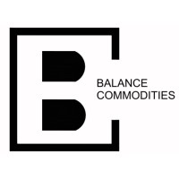 Balance Commodities logo - Similar company to Hiring Infra