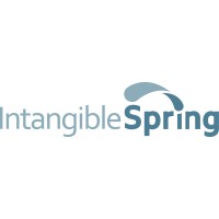 IntangibleSpring logo - Similar company to Dataalchemist